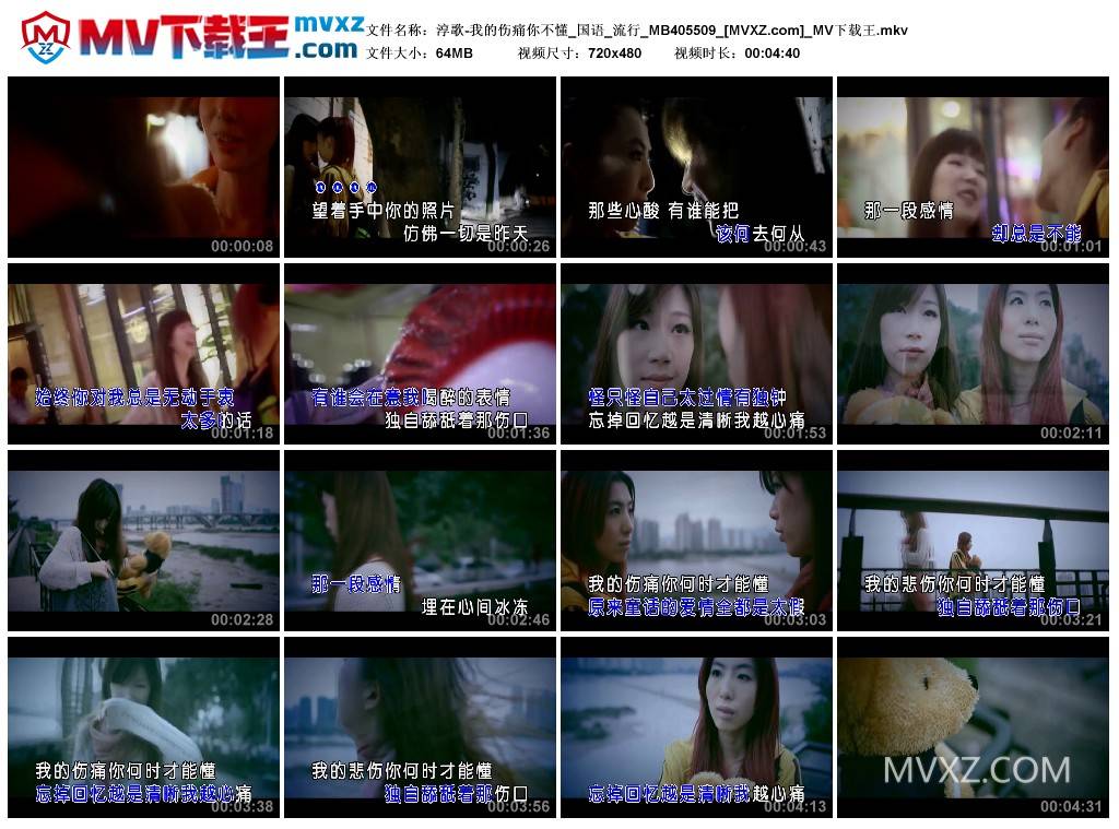 淳歌-我的伤痛你不懂_国语_流行_MB405509